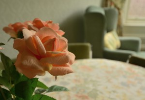 Flower on table